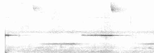 Kestane Göğüslü Çıtkuşu - ML617601712