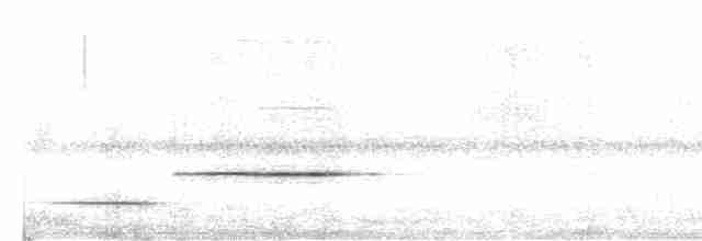 Kestane Göğüslü Çıtkuşu - ML617601713