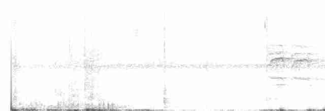 holub bělohrdlý - ML617601715