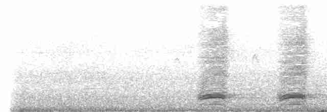 hvitbrystkråke - ML617601881