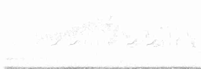 Трясогузковый певун - ML617602031
