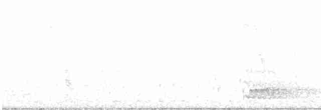 Трясогузковый певун - ML617602097