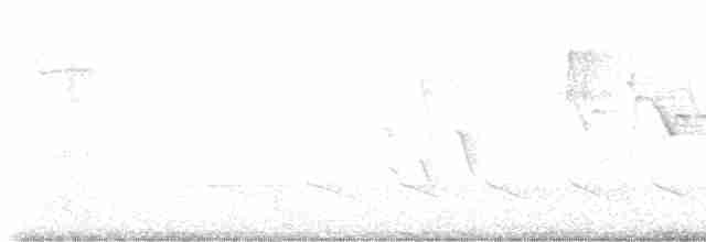 Yellow-throated Warbler - ML617602217