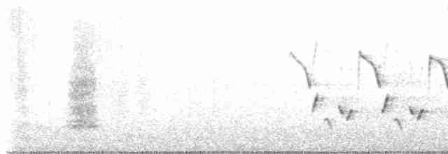 Karolina Çıtkuşu - ML617603679