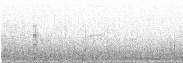 Ak Kaşlı Bülbül Tiranı - ML617603868