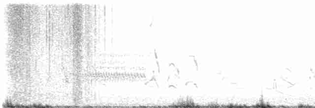 Тремблер прямодзьобий - ML617603884