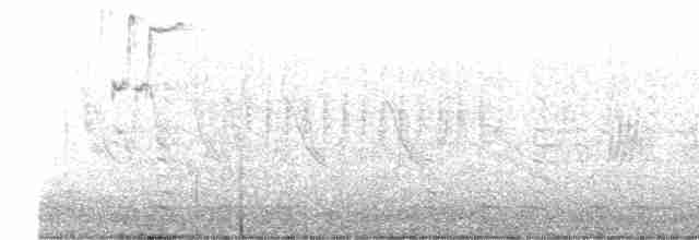 Kuzeyli Sert Kanatlı Kırlangıç - ML617603961