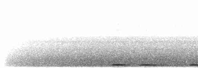 holub ametystový - ML617604801
