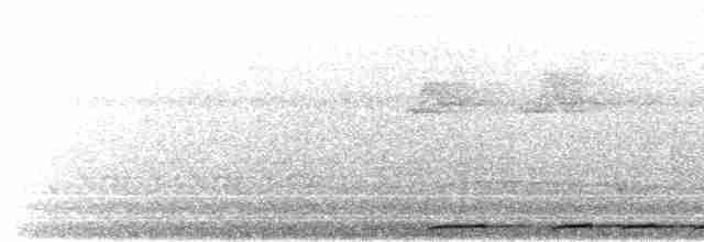holub okrovohrdlý - ML617604844