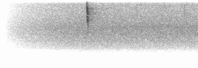 Turuncu Karınlı Öksekuşu - ML617604869