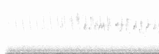Paruline à couronne rousse (palmarum) - ML617606455