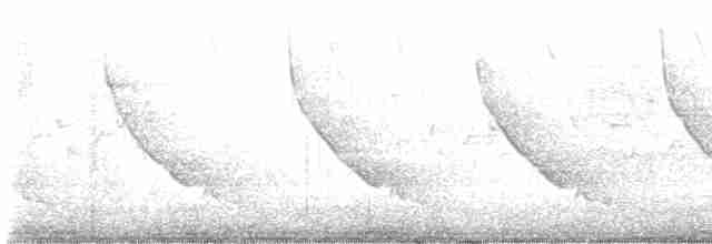 Yellow-rumped Warbler - ML617607269