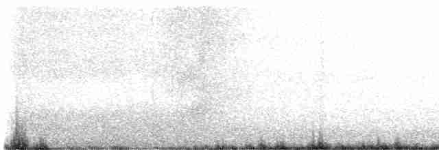 White Wagtail - ML617607314