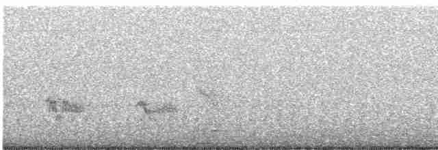 Evening Grosbeak (type 1) - ML617608517