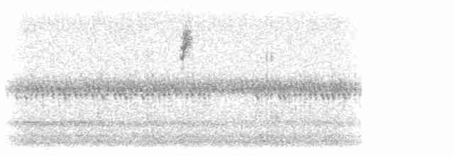 Пісняр-лісовик жовтогузий (підвид coronata) - ML617610430
