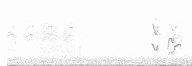 Темнолобая иглохвостка - ML617610569
