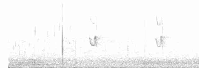 Graustirn-Dickichtschlüpfer - ML617610571