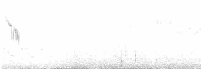 Schafstelze (Iberienschafstelze) - ML617611119