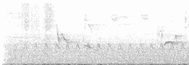 Сероголовый виреон - ML617612640