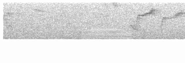 Блакитар вохристочеревий - ML617613098