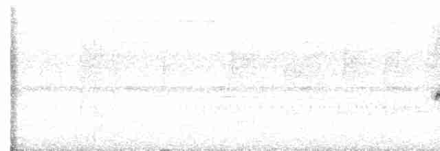 Rotmantel-Ameisenwächter - ML617613361