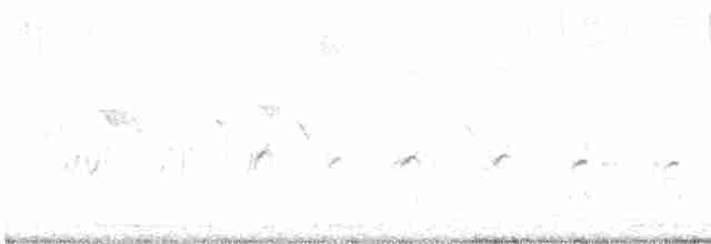 Little Ringed Plover - ML617614227