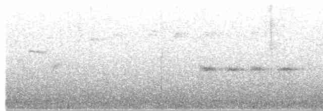 Mirlo Acuático Coroniblanco - ML617614236