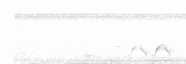 Белоухий крапивник - ML617614693
