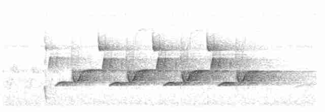Поплітник каролінський - ML617615110