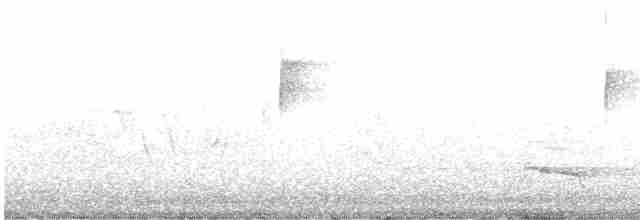 Красноплечий канюк - ML617615154