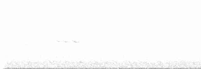 Белогорлая зонотрихия - ML617615198