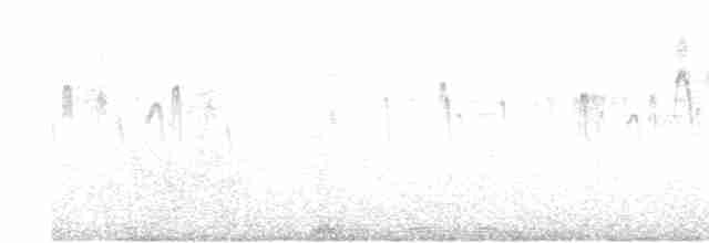 ノドジロタンビハリオアマツバメ - ML617615237