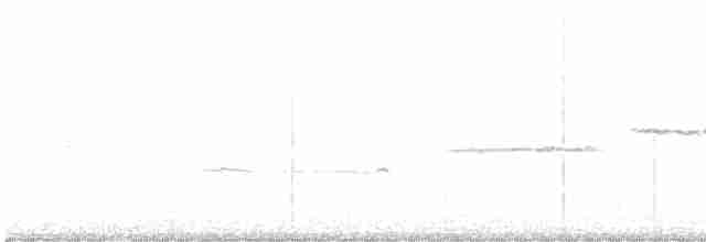Белогорлая зонотрихия - ML617615662