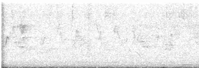 Trogon élégant - ML617615666