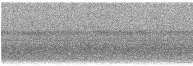 Прерийный кроншнеп - ML617615717