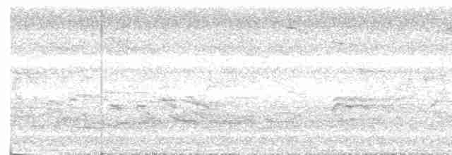 střízlík obecný (ssp. indigenus) - ML617616110