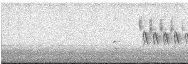 טואי אדום-עין - ML617616114