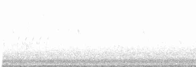 Bruant sauterelle - ML617617136