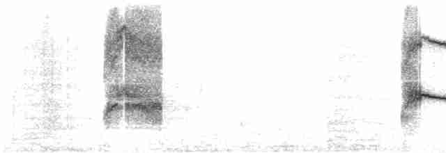 Sarı Karınlı Bülbül Tiranı - ML617619053
