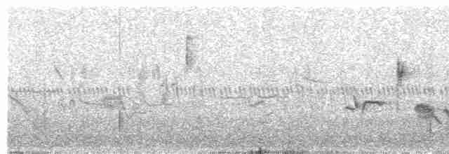 Oriole des vergers - ML617619151