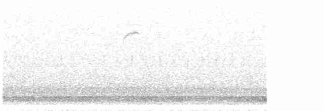 ホオジロ科（新世界ホオジロ類） - ML617619163