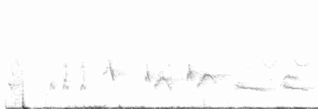 Кривоклювый пересмешник - ML617620658