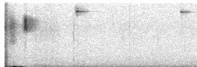 クリエリムジアマツバメ - ML617621274