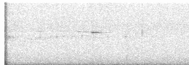 Dusky Nightjar - ML617621288