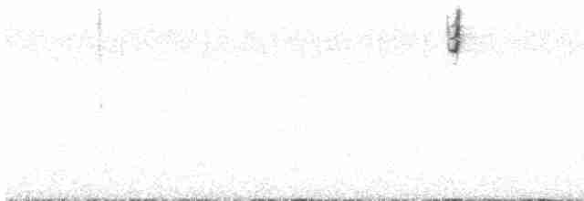 Карнатка лучна - ML617621513
