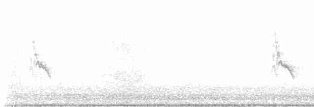 Белокрылая канделита - ML617623863