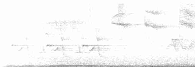 Kentucky Warbler - ML617623962