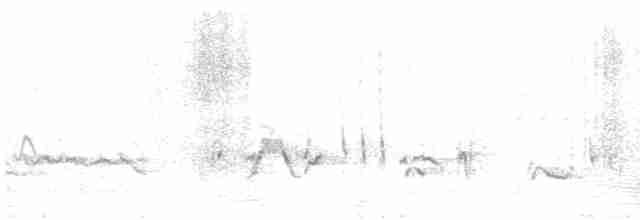 Rotsteiß-Spottdrossel - ML617625893