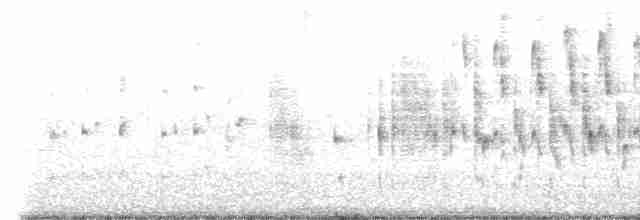 Troglodyte des marais (groupe palustris) - ML617626070