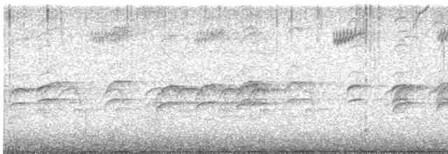 křivka bělokřídlá - ML617626320
